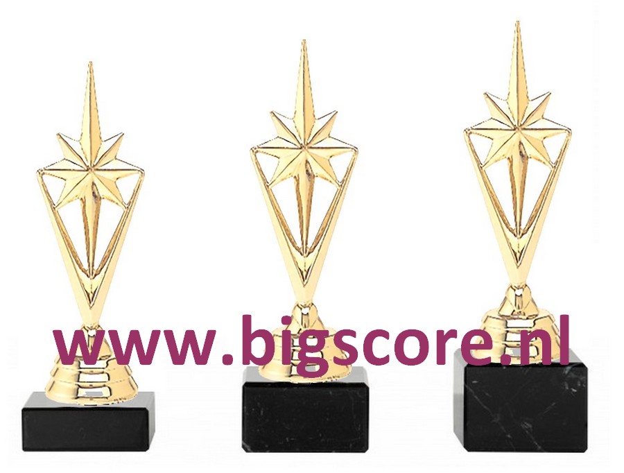 Victory Goud 133-G